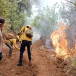 Detectan influenza aviar de alta patogenicidad en Michoacán