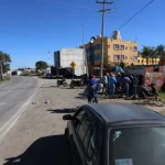 Reportan a león cazando perros en Yauhquemehcan, Tlaxcala