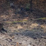 Niños quedan en medio de balacera en Chiapas