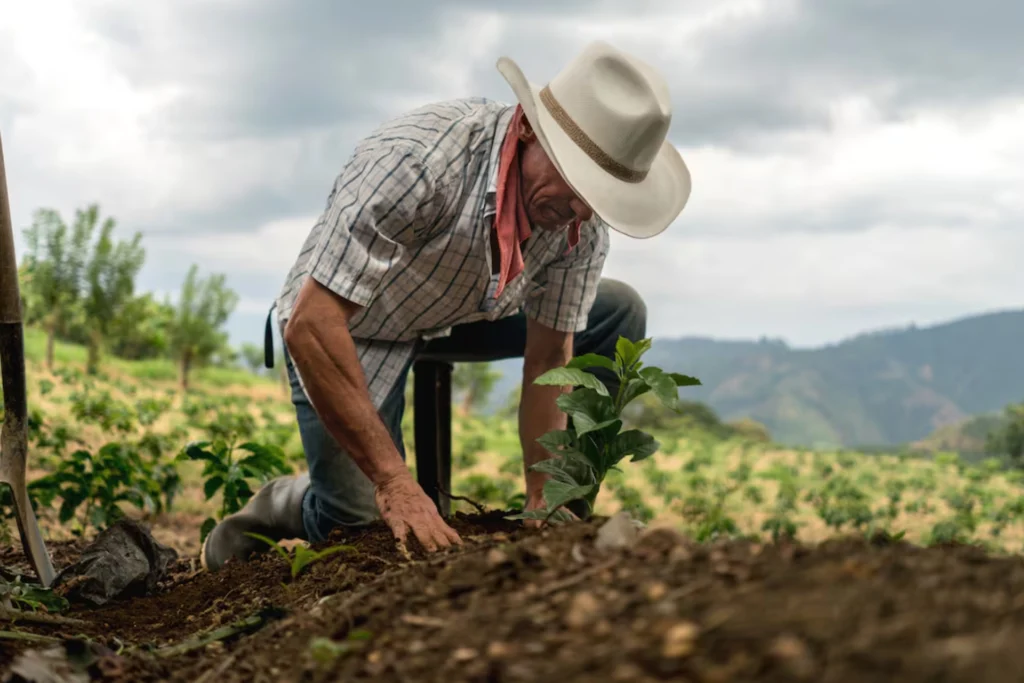 ANT activa por primera vez ley histórica para comprar tierras a bancos y favorecer a campesinos.