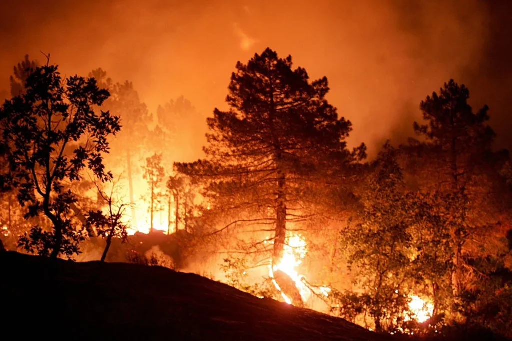 Incendio en Almería, España: al menos 12 fallecidos en la peor tragedia forestal de Andalucía en décadas