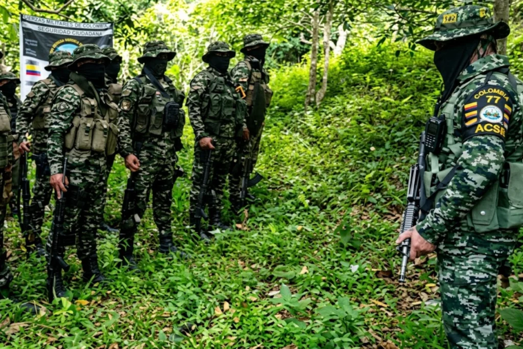 Los Pachenca: la estructura criminal que mantiene en vilo a Santa Marta y la Sierra Nevada