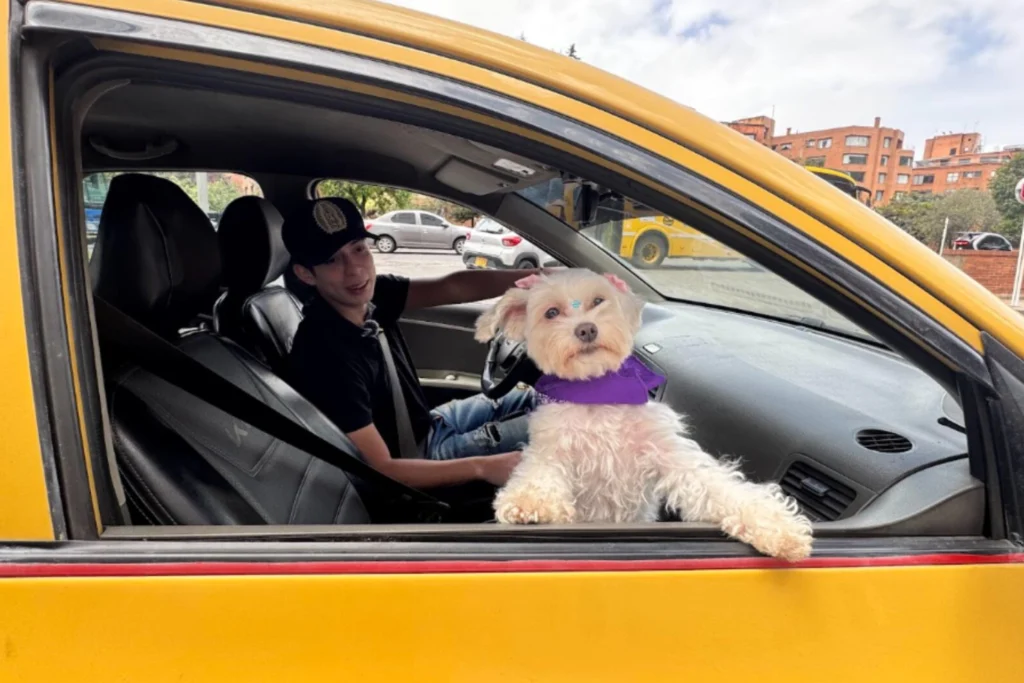 Los viajes con mascotas en Bogotá se multiplicaron por 2,5 en un año: estos son los trayectos más frecuentes